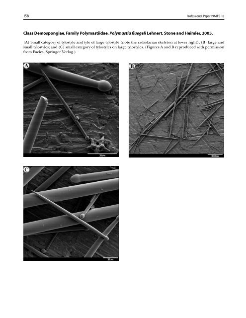 A guide to the deep-water sponges of - NMFS Scientific Publications ...