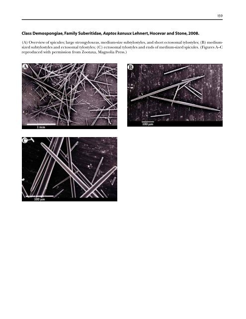 A guide to the deep-water sponges of - NMFS Scientific Publications ...