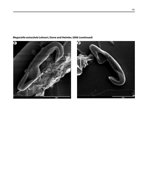 A guide to the deep-water sponges of - NMFS Scientific Publications ...