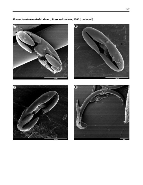 A guide to the deep-water sponges of - NMFS Scientific Publications ...