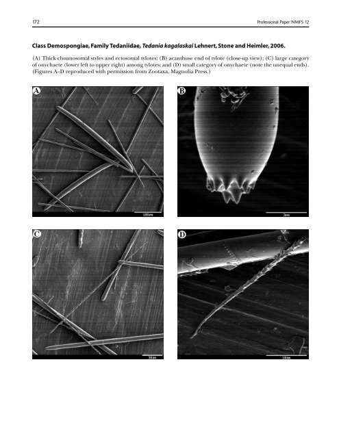 A guide to the deep-water sponges of - NMFS Scientific Publications ...