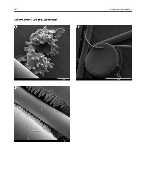 A guide to the deep-water sponges of - NMFS Scientific Publications ...