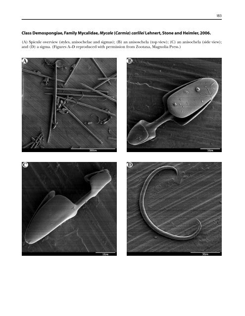 A guide to the deep-water sponges of - NMFS Scientific Publications ...