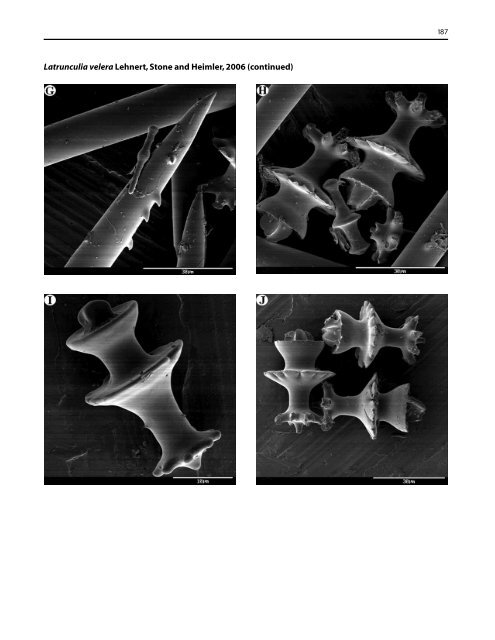 A guide to the deep-water sponges of - NMFS Scientific Publications ...