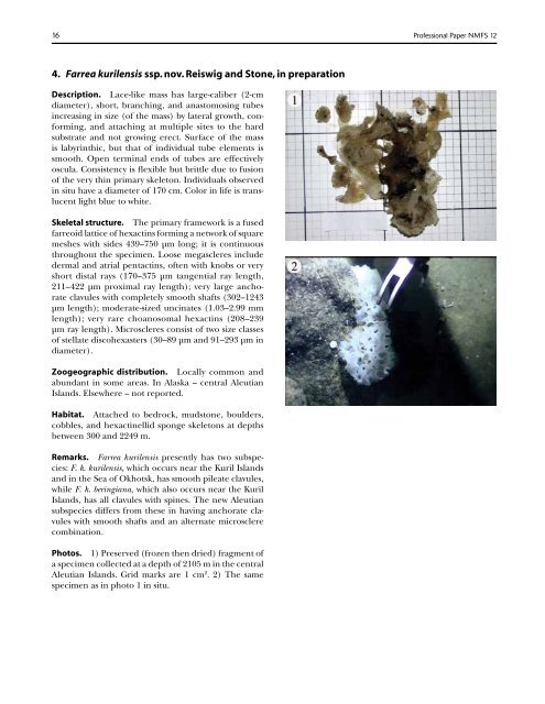 A guide to the deep-water sponges of - NMFS Scientific Publications ...