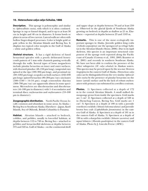 A guide to the deep-water sponges of - NMFS Scientific Publications ...