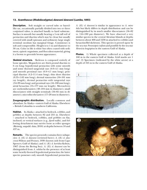 A guide to the deep-water sponges of - NMFS Scientific Publications ...