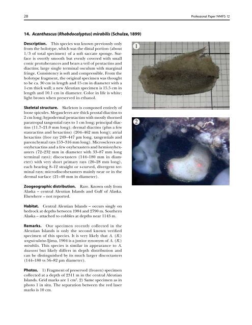 A guide to the deep-water sponges of - NMFS Scientific Publications ...