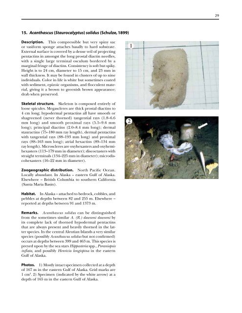 A guide to the deep-water sponges of - NMFS Scientific Publications ...