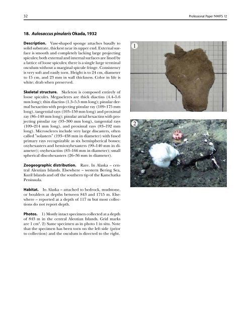 A guide to the deep-water sponges of - NMFS Scientific Publications ...