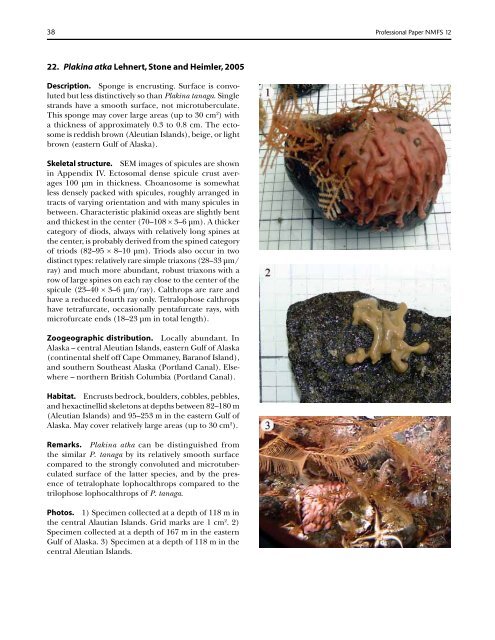 A guide to the deep-water sponges of - NMFS Scientific Publications ...