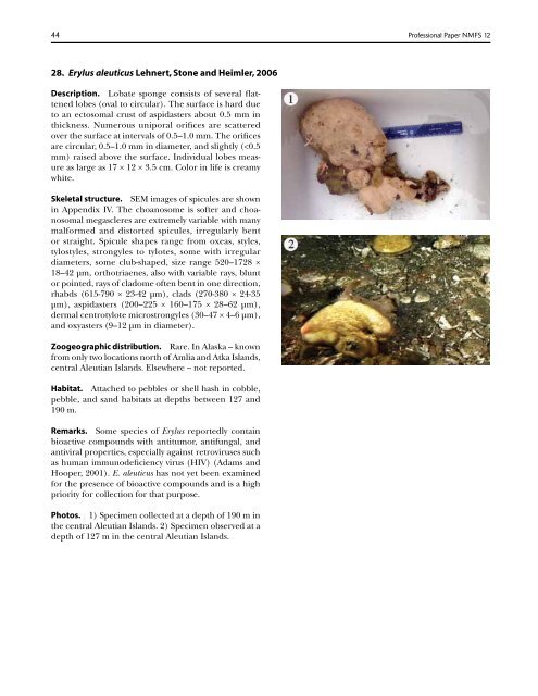 A guide to the deep-water sponges of - NMFS Scientific Publications ...