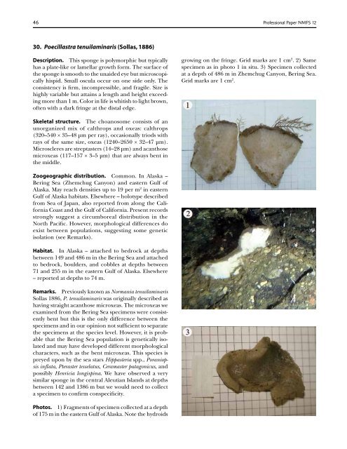 A guide to the deep-water sponges of - NMFS Scientific Publications ...