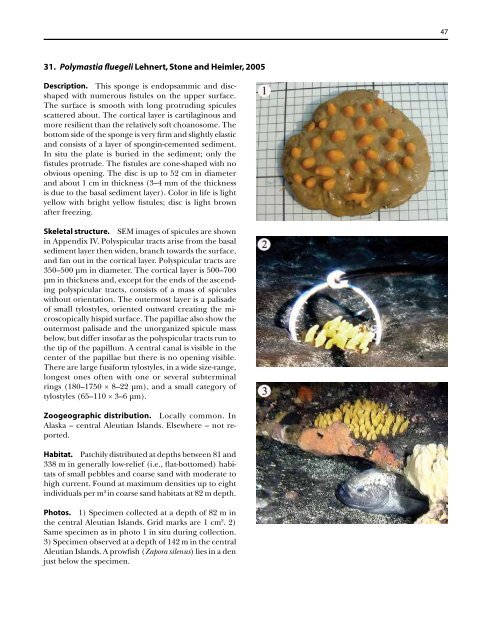 A guide to the deep-water sponges of - NMFS Scientific Publications ...