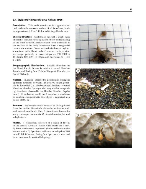 A guide to the deep-water sponges of - NMFS Scientific Publications ...