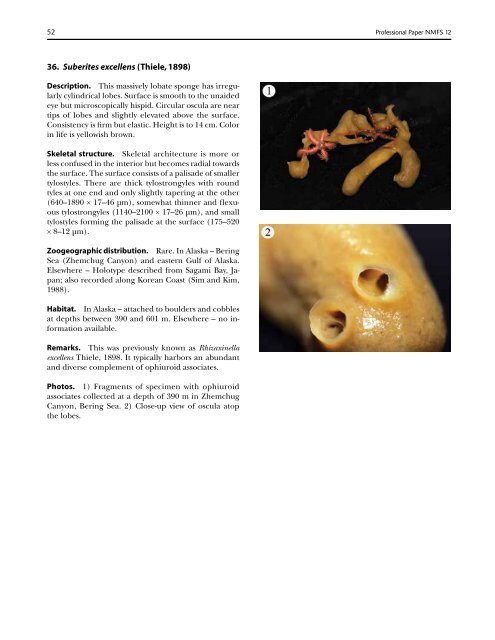 A guide to the deep-water sponges of - NMFS Scientific Publications ...