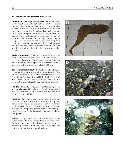 A guide to the deep-water sponges of - NMFS Scientific Publications ...