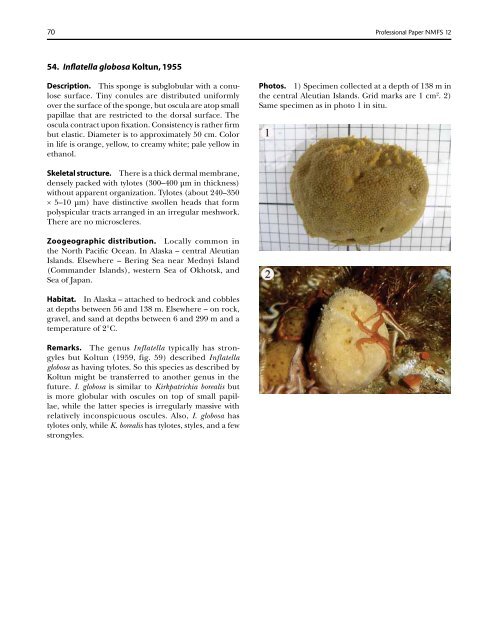 A guide to the deep-water sponges of - NMFS Scientific Publications ...