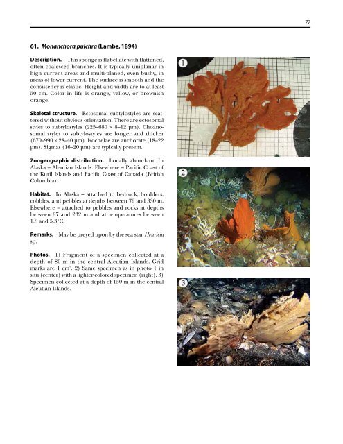 A guide to the deep-water sponges of - NMFS Scientific Publications ...