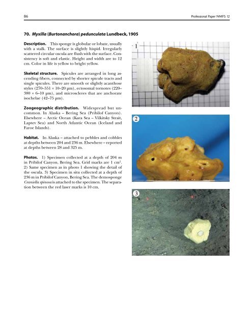 A guide to the deep-water sponges of - NMFS Scientific Publications ...