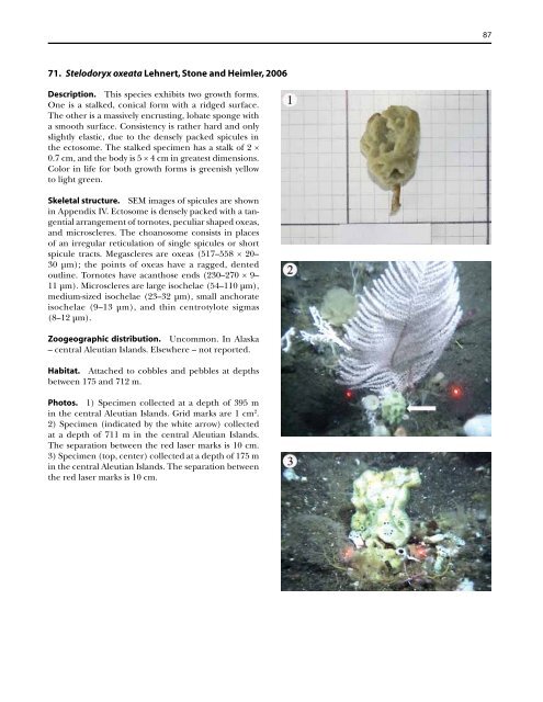 A guide to the deep-water sponges of - NMFS Scientific Publications ...