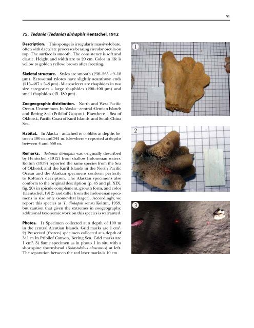 A guide to the deep-water sponges of - NMFS Scientific Publications ...