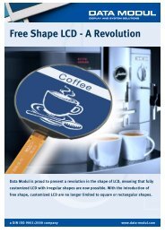 Free Shape LCD - A Revolution - Data Modul