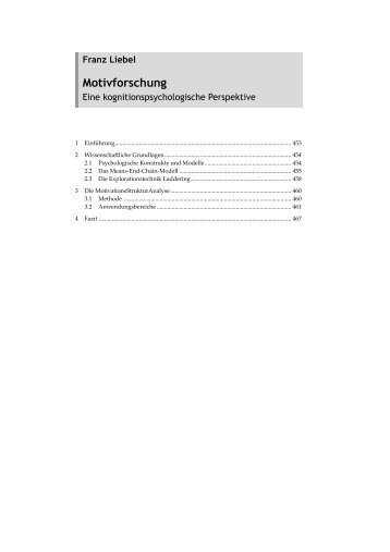 Liebel, Franz (2007): „Motivforschung“ - Compagnon Marktforschung