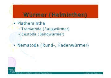 Würmer (Helminthen)