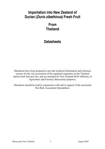 Durian from Thailand Datasheets - Biosecurity New Zealand
