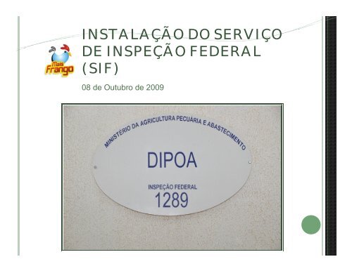 mais frango no mercado externo - Ministério da Agricultura ...