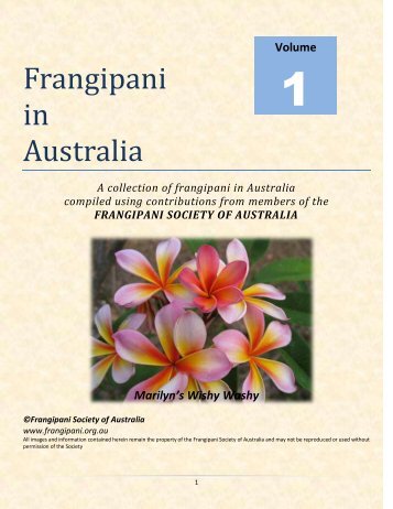 Frangipani in Australia