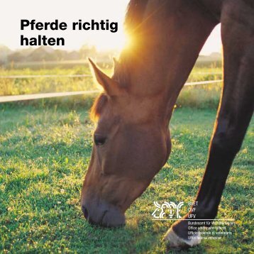 Pferde richtig halten - Tierdatenbank.ch