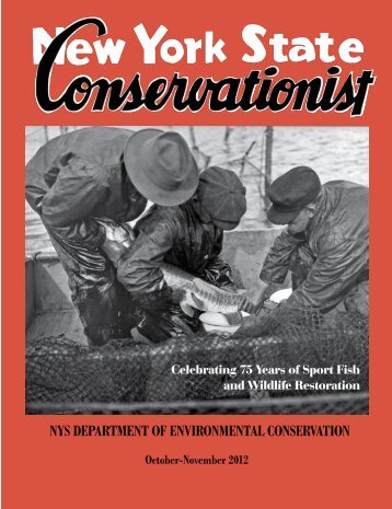 Read the entire issue, cover to cover (PDF - New York State ...