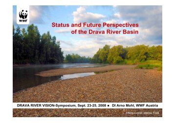 Status and Future Perspectives of the Drava River Basin - Life Drau