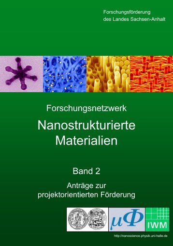 Band 2 - Forschungsschwerpunkt Nanostrukturierte Materialien