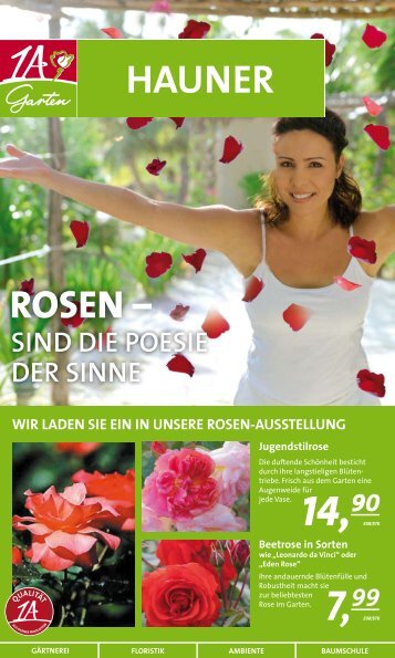 Rosen - 1A Garten Hauner