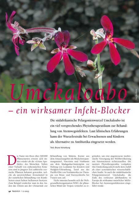 Umckaloabo - Natürlich