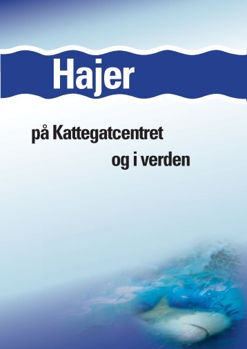 Hajer - E-museum
