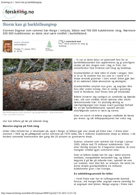 forskning.no > Storm kan gi barkbilleangrep - Skog og landskap