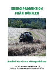 ENERGIPRODUKTION MED RÖRFLEN