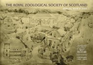 THE ROYAL ZOOLOGICAL SOCIETY OF SCOTLAND - Edinburgh Zoo