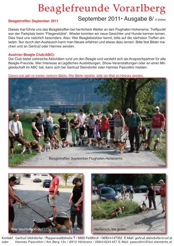 Bericht über das Beagletreffen im September 2011 - hundundco.info