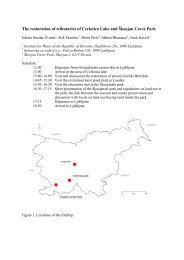 The restoration of tributaries of Cerknica Lake and Škocjan Caves ...