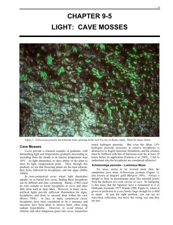 CHAPTER 9-5 LIGHT: CAVE MOSSES - Bryophyte Ecology