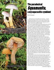 The Paradoxical Squamanita, a mycoparasitic symbiont