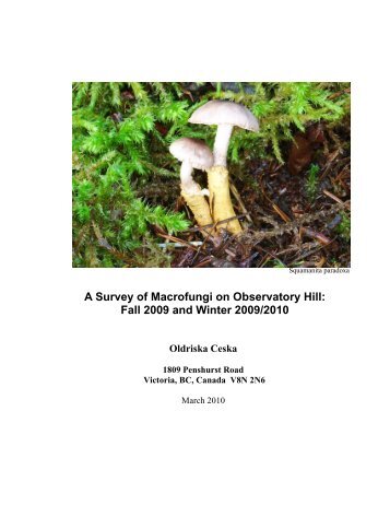 A Survey of Macrofungi on Observatory Hill - Garry Oak Ecosystems ...
