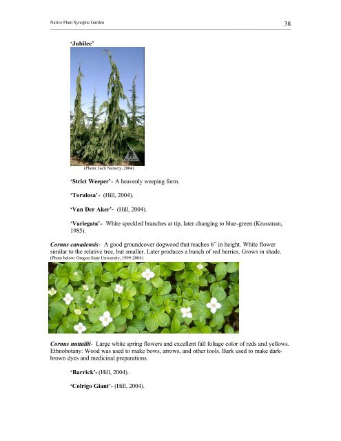 Full page photo print - WSU Puyallup Research and Extension ...