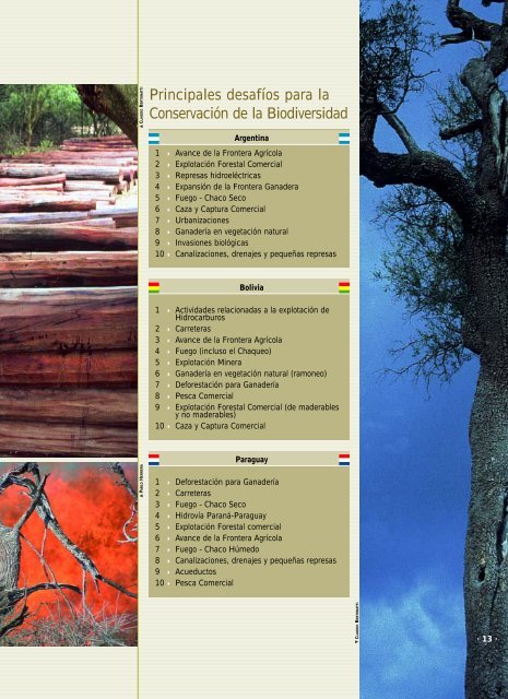 Evaluación Ecorregional del Gran Chaco Americano - WWF