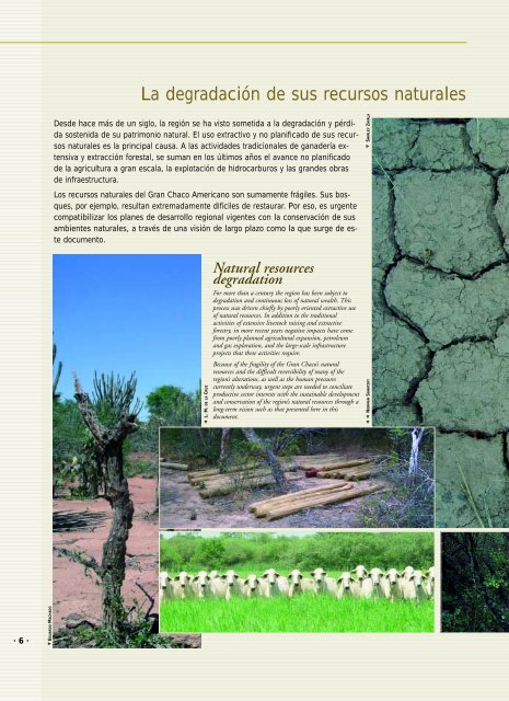 Evaluación Ecorregional del Gran Chaco Americano - WWF
